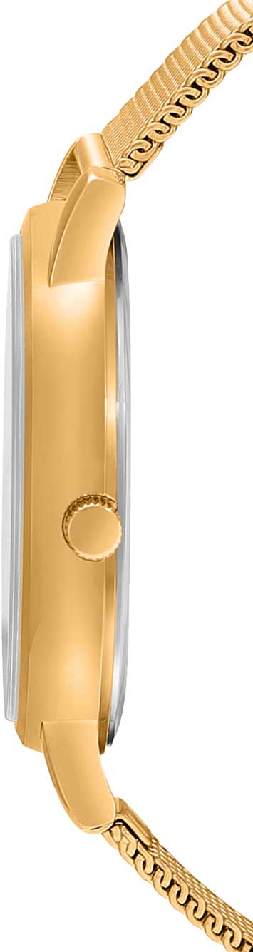 Оригинальные часы Casio Casio Collection MTP-B125MG-3A кварцевые калибр механизма  общий вид