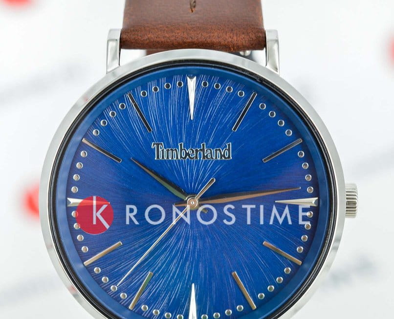 Timberland Timberland Ripton TDWGA0029202,  сша мужские часы на браслете кожаный боковой вид