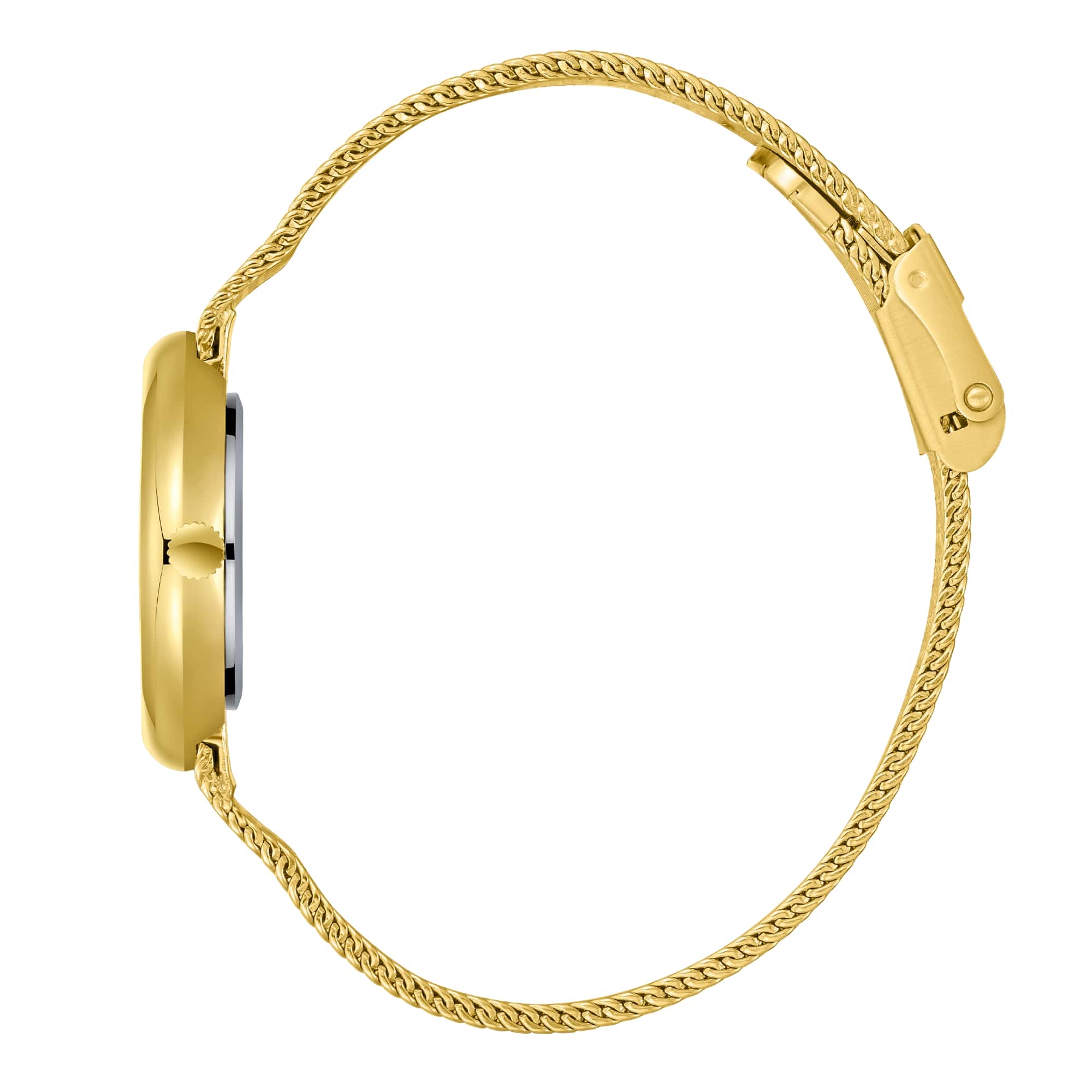 Beverly Hills Polo Club Beverly Hills Polo Club BP3760X.120,  сша женские часы на браслете сталь с ip покрытием боковой вид