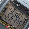 Часы Casio Collection W-800HG-9AVDF (W-800HG-9A) фото 3