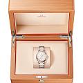 Omega 22020382002001