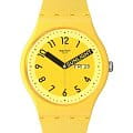 Swatch SO29J702