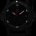 Часы Luminox Leatherback Sea Turtle XS.0301.BO.L фото 2