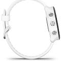 Garmin 010-02120-31