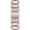Omega 22020382002001