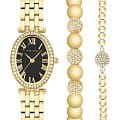 Anne Klein Anne Klein Box Set 3970GBST  3970GBST кварцевые женские часы  черный циферблат, браслет нержавеющая сталь с ip-покрытием — вид спереди